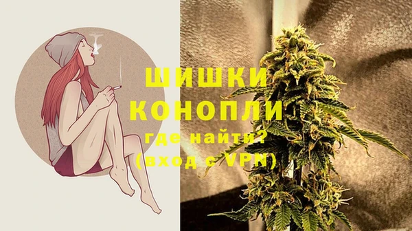 крисы Верхний Тагил