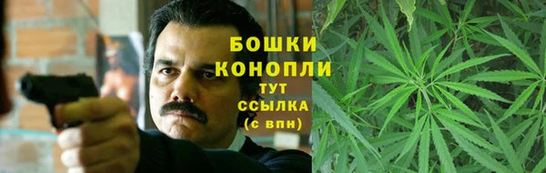 крисы Верхний Тагил