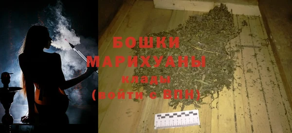 крисы Верхний Тагил