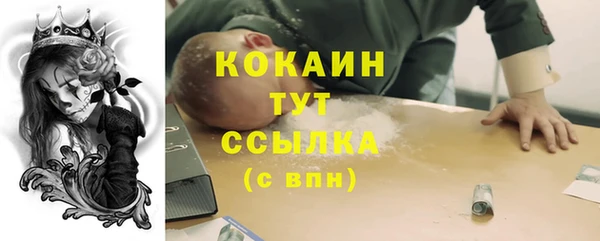 крисы Верхний Тагил