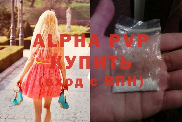 крисы Верхний Тагил
