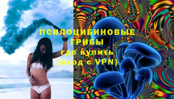 трава Верея