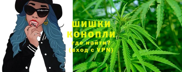 крисы Верхний Тагил