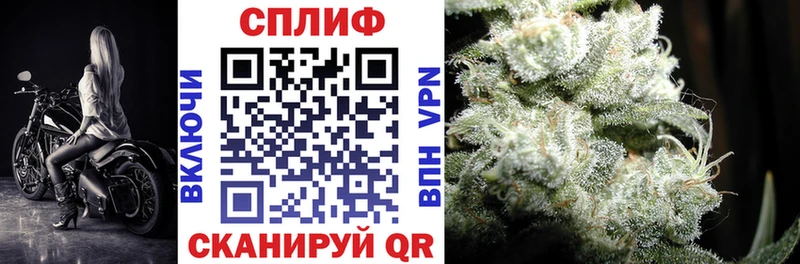 Конопля Amnesia  блэк спрут как зайти  Кизел 